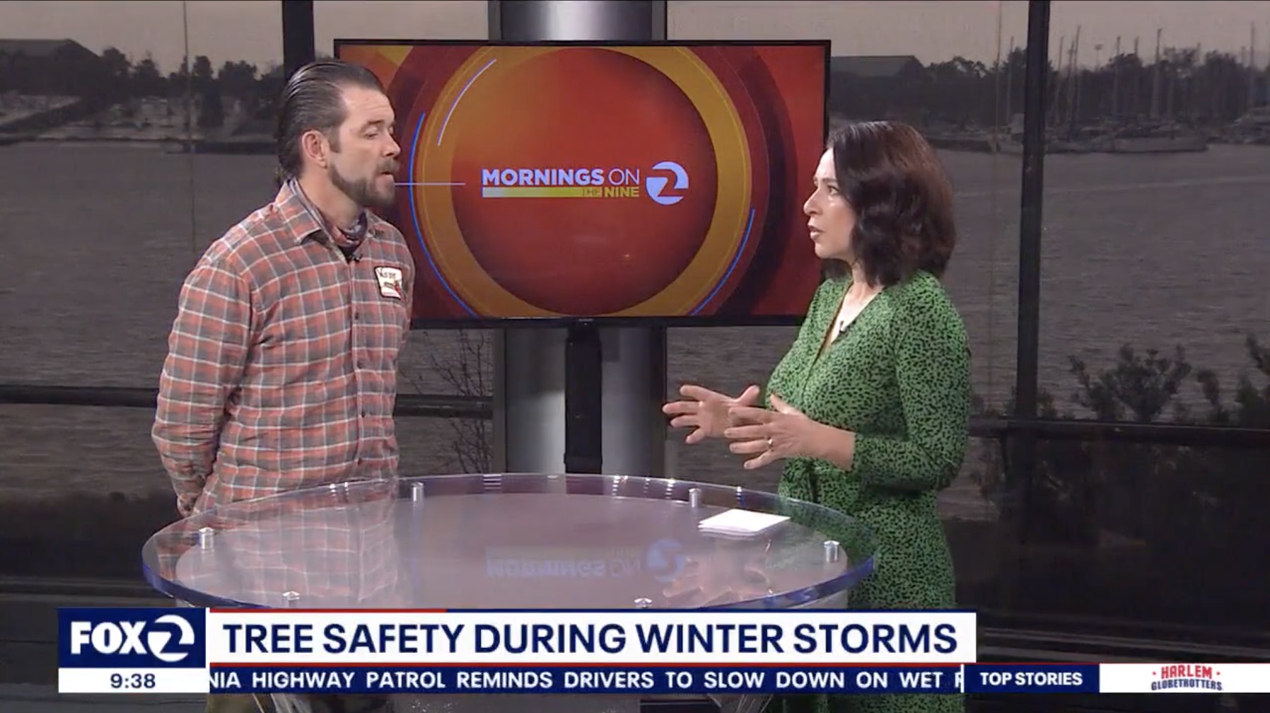 Tree safety in the storms